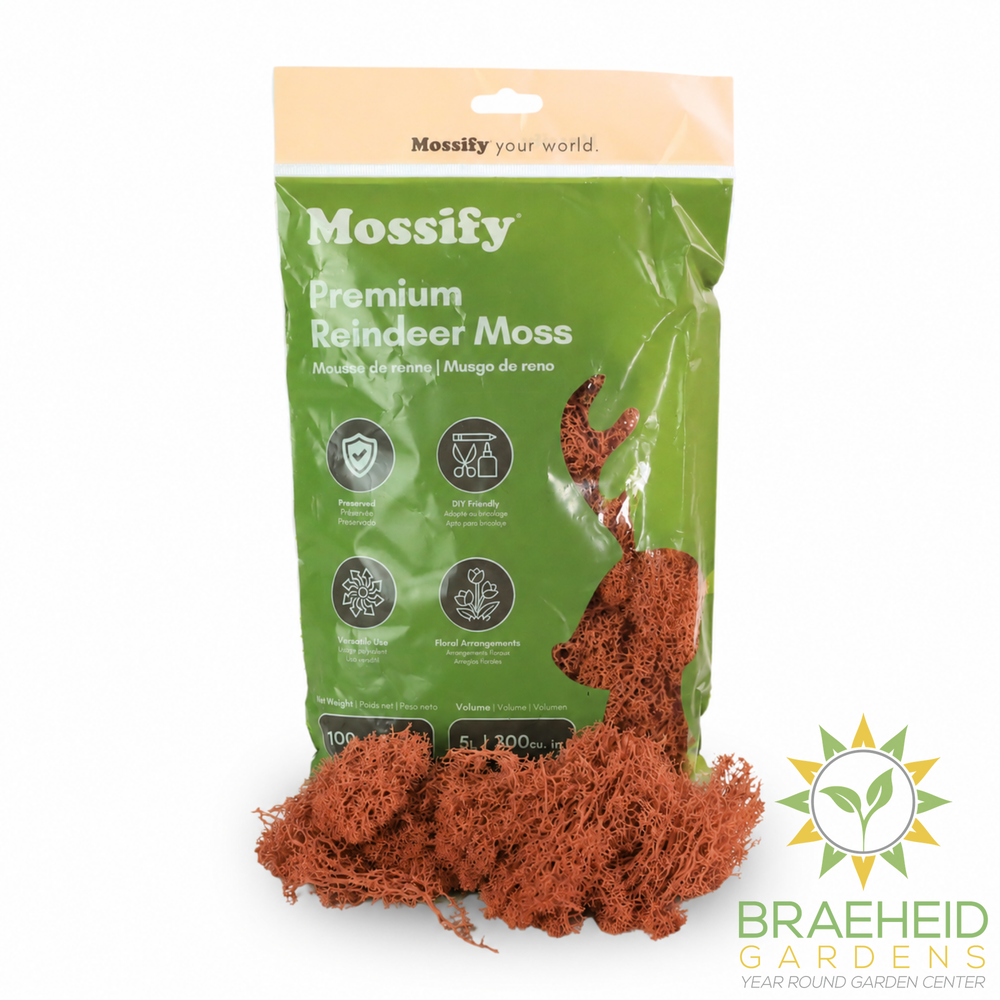 Premium Reindeer Moss Bag