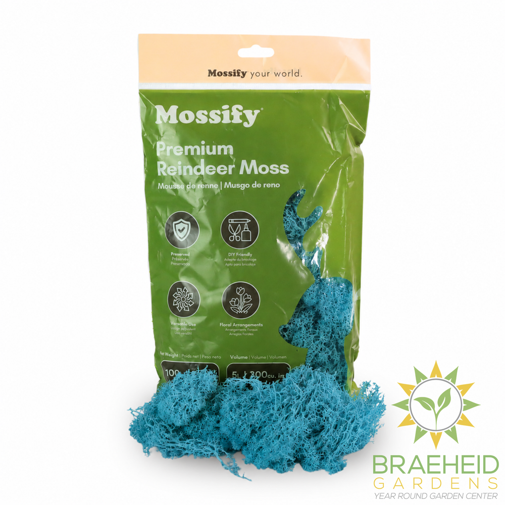 Premium Reindeer Moss Bag