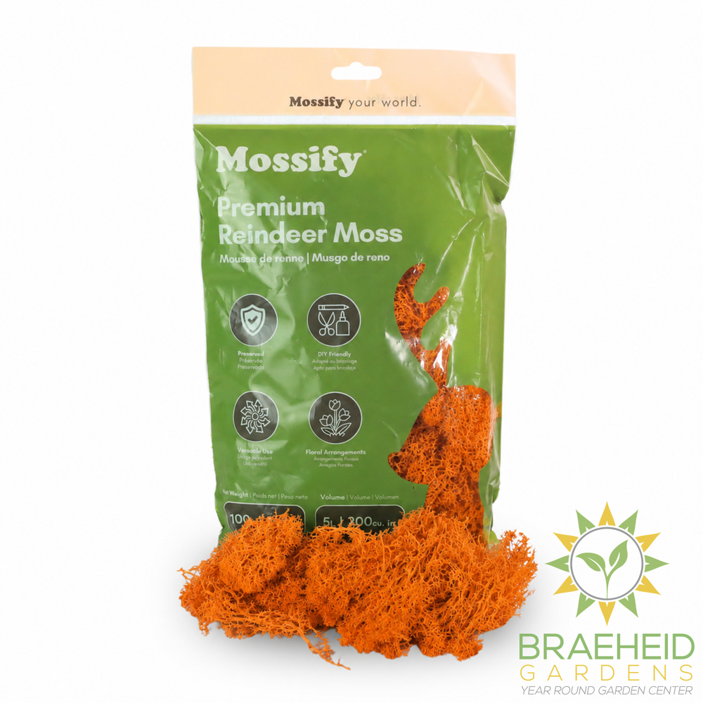 Premium Reindeer Moss Bag