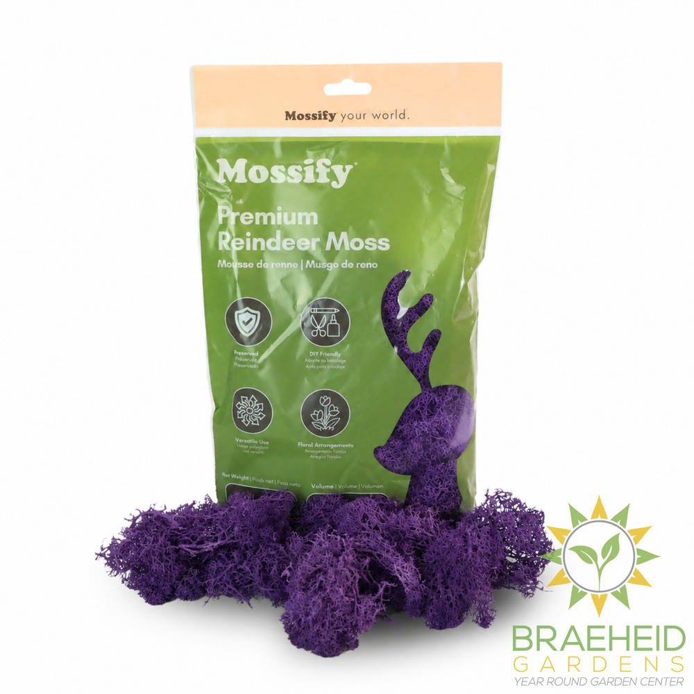Premium Reindeer Moss Bag