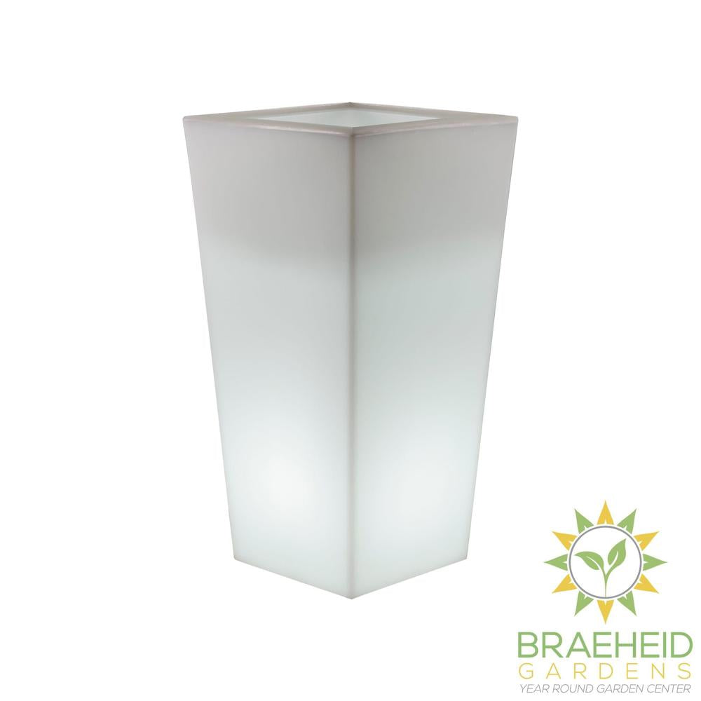 Melisa<br> Solar & Rechargeable