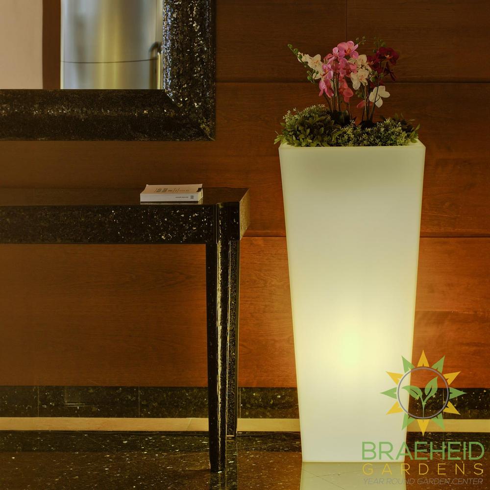 Melisa<br> Solar & Rechargeable