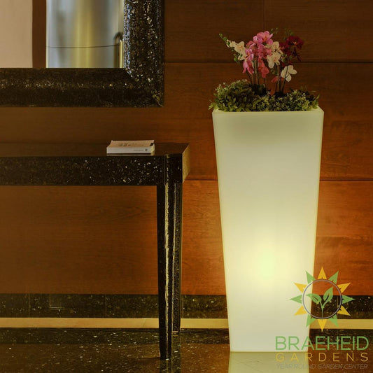 Melisa<br> Solar & Rechargeable