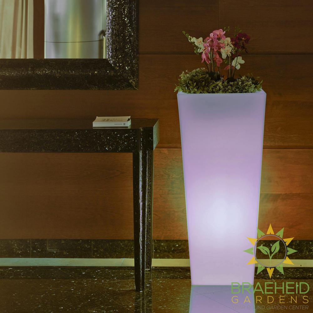 Melisa<br> Solar & Rechargeable