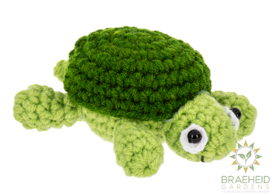Crochet Turtle Token