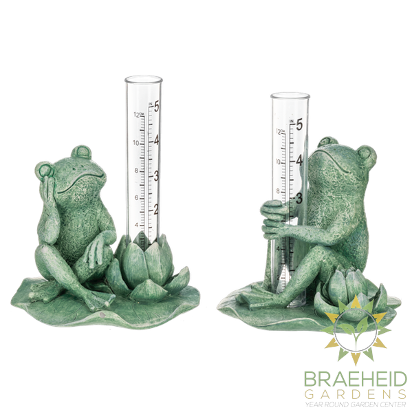 Frog Rain Gauge