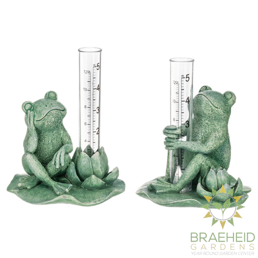 Frog Rain Gauge