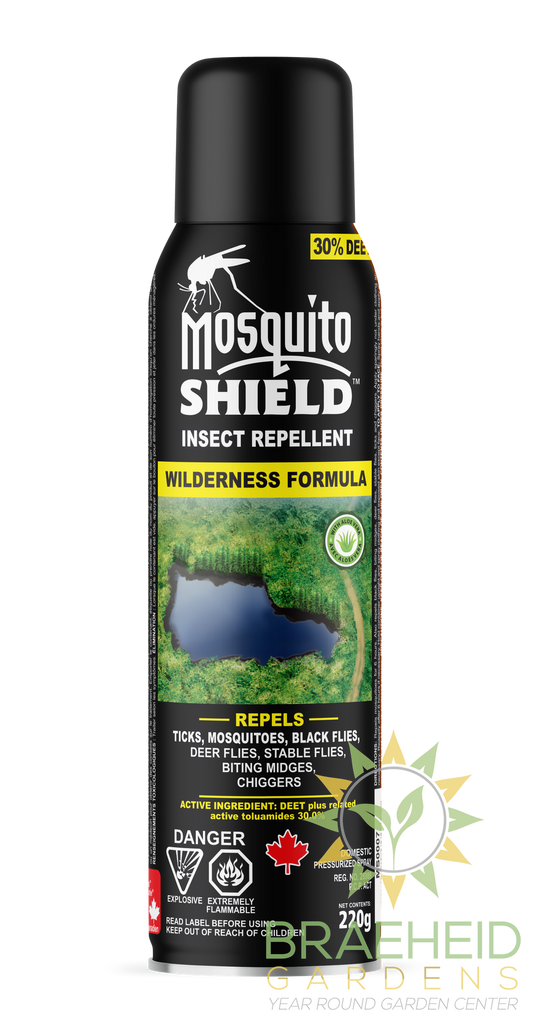 Wilderness 220g Aerosol