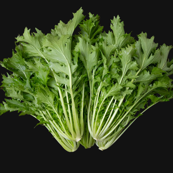 Mizuna Greens