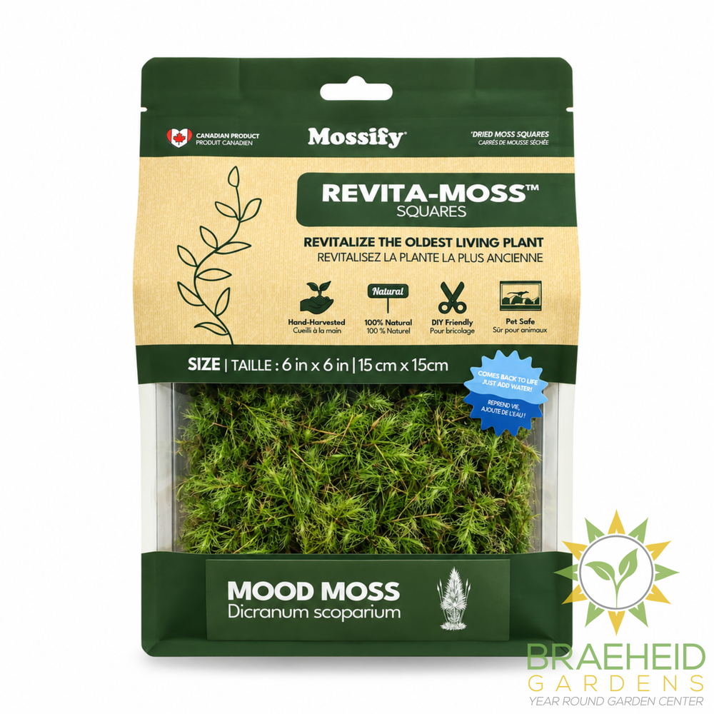 Mood Moss - Revita-Moss (Dicranum)