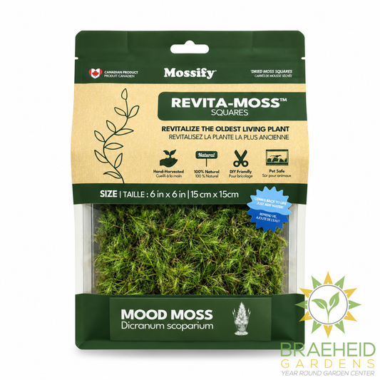 Mood Moss - Revita-Moss (Dicranum)