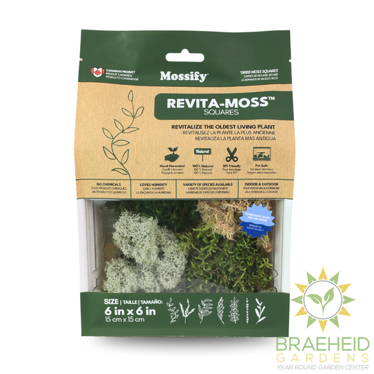 Revita-Moss Mixed Pack