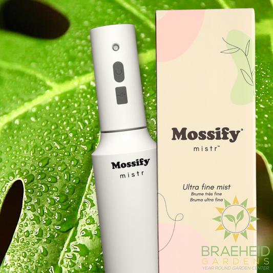 The Original Mossify mistr™