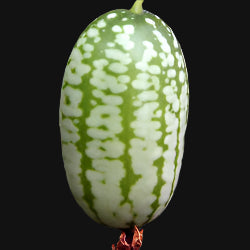 Mouse Melon Cucumber