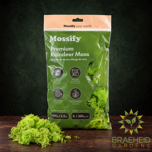 Premium Reindeer Moss Bag
