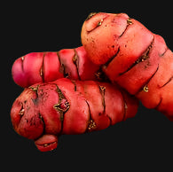 Oca (New Zealand Yam)