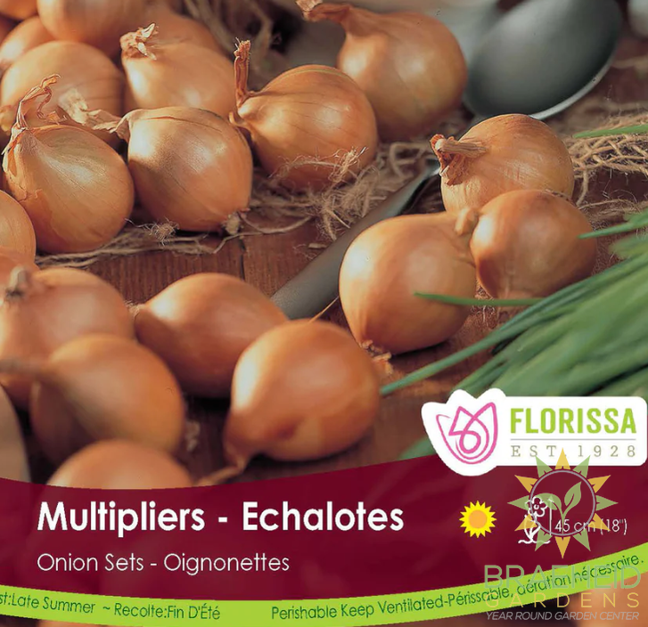 Multiplier Onion Sets