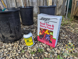 fertilizer for fruit trees and berries in grande prairie