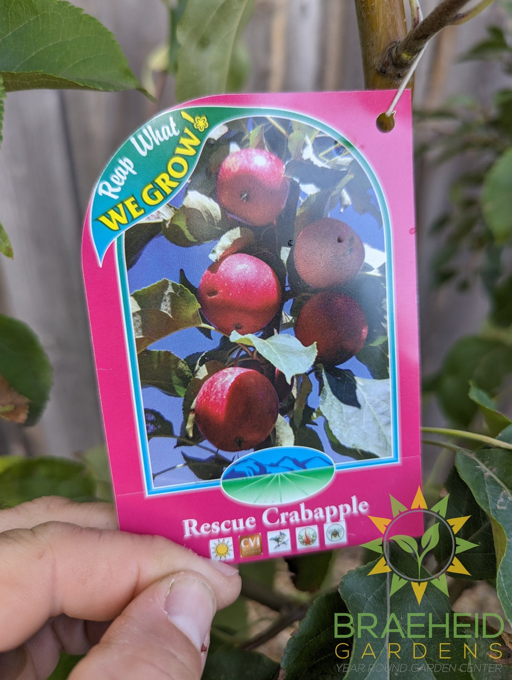Beginners Zone 2 - Fruit Tree Orchard Bundle