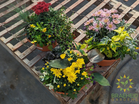 Carnival Bowl Fall Planter