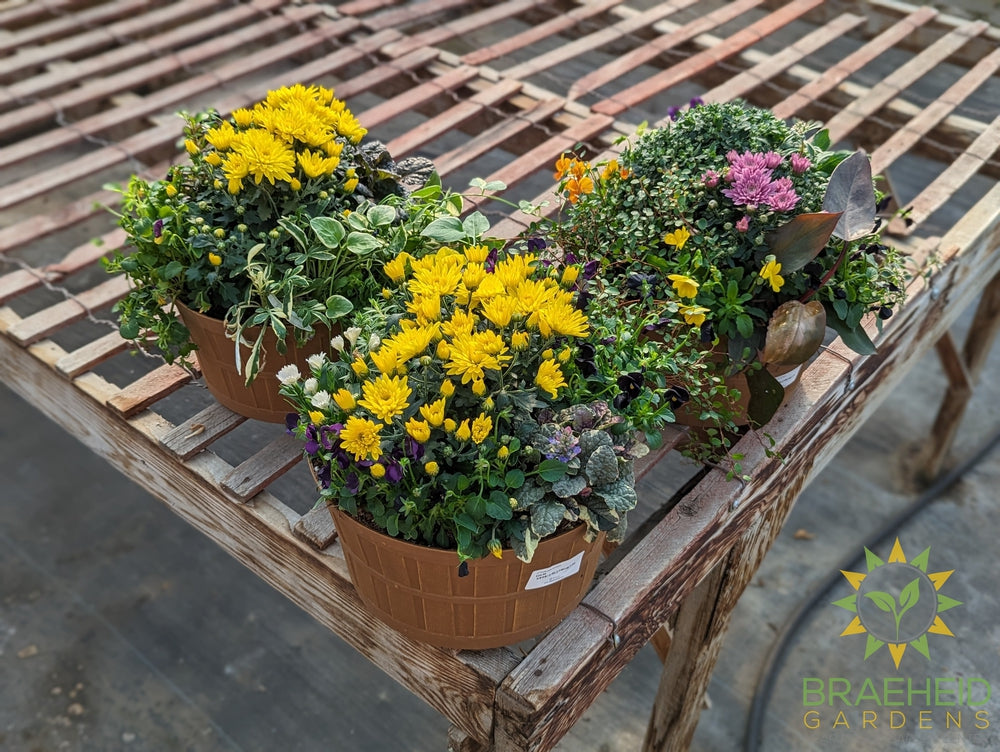 Garden party Fall Planter