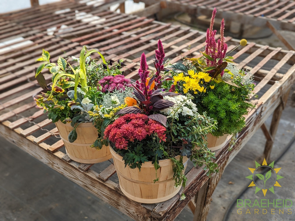 Apple Basket Fall Planter