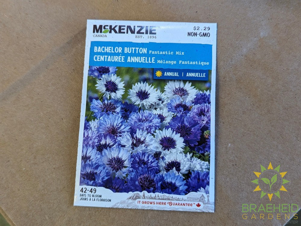 Bachelors Button Fantastic Mix McKenzie Seed