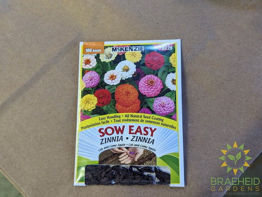 Cut and come again Zinnia Mckenzie Seed Sow Easy