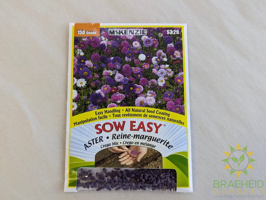 Aster Crego Mix Sow Easy