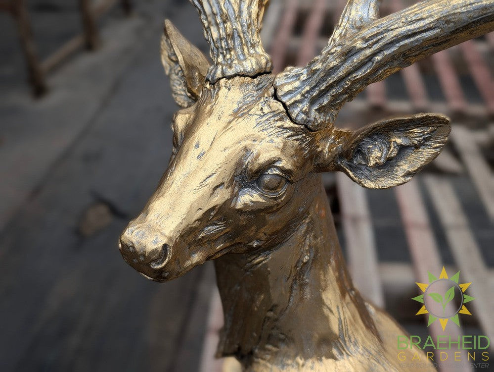 Oversized Stag Bust