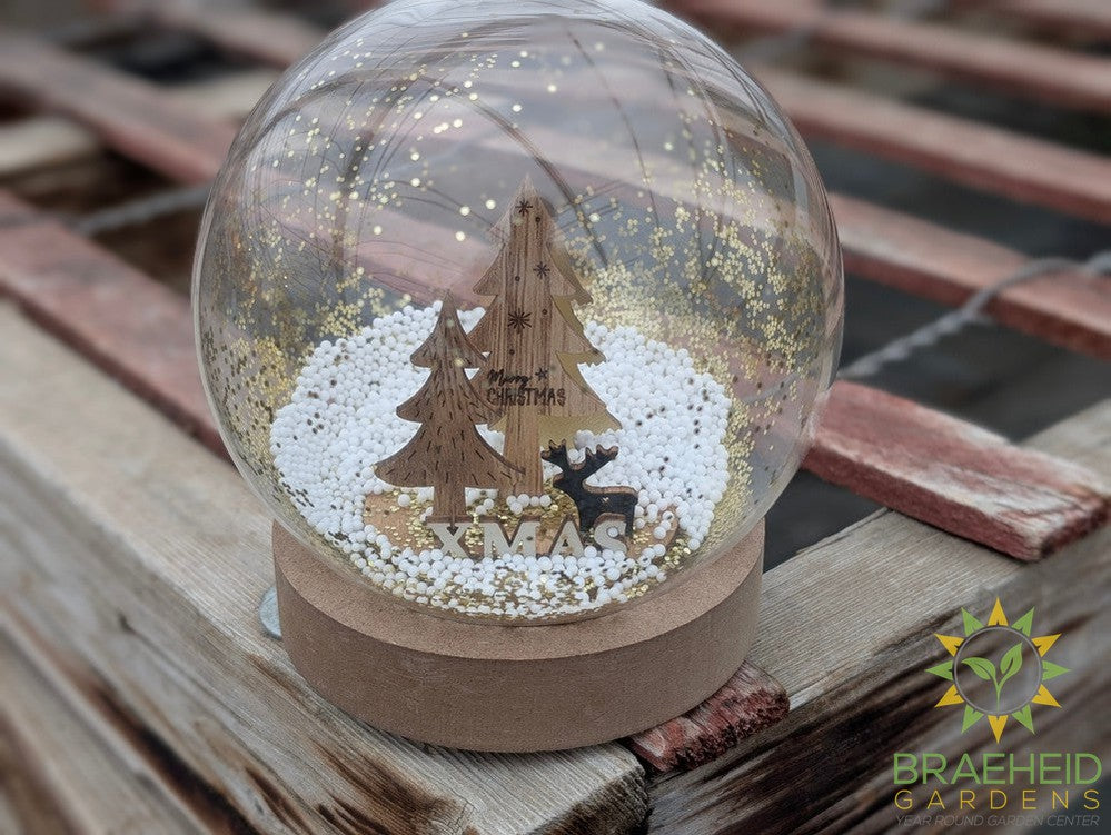 Holiday Globe