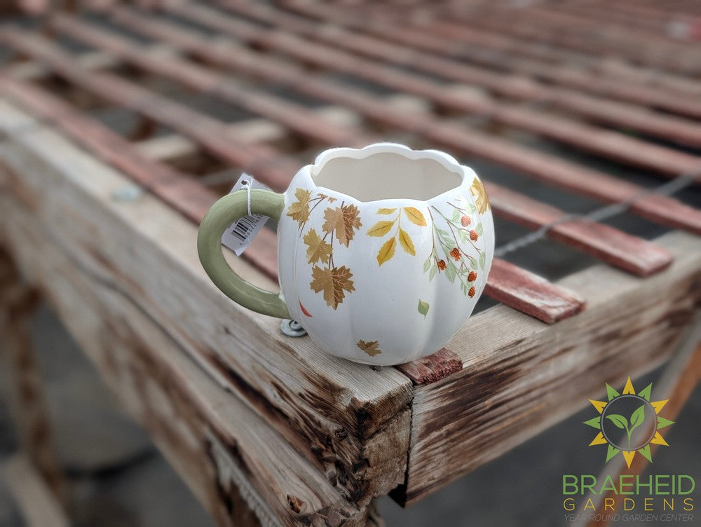 Botanical Pumpkin Shape Mug