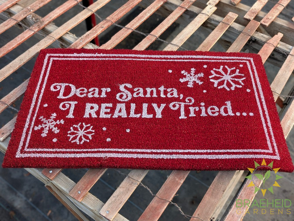 Dear Santa Doormat