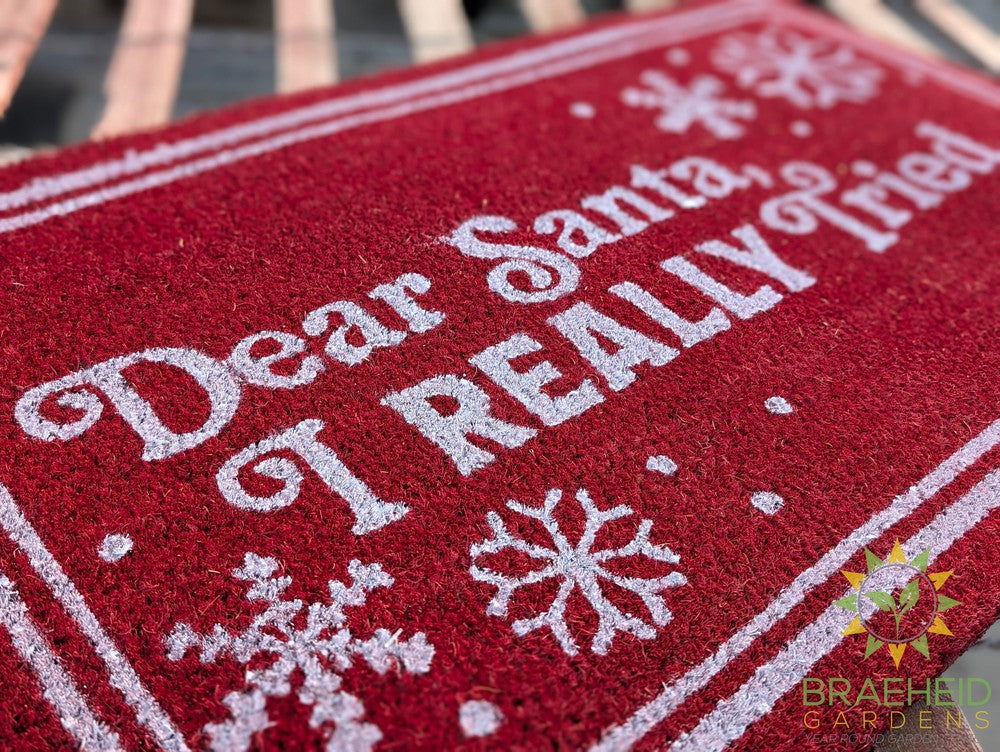 Dear Santa Doormat