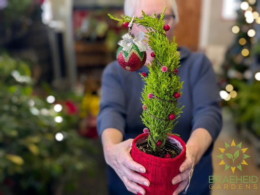 Christmas Cypress Grinch Tree