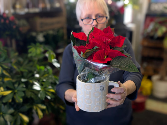 Poinsettia w/ HOHOHO mug