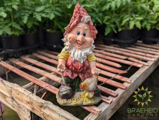 Fili Garden Gnome