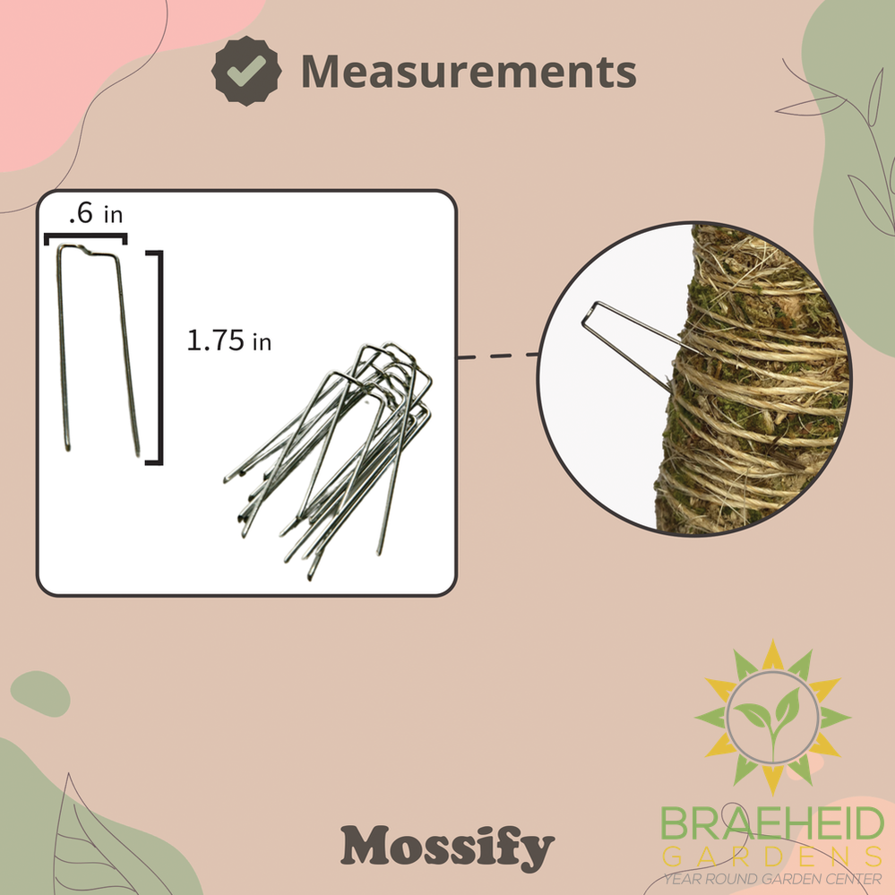 Floral Pins - Greening Pins - Moss Pole Pins