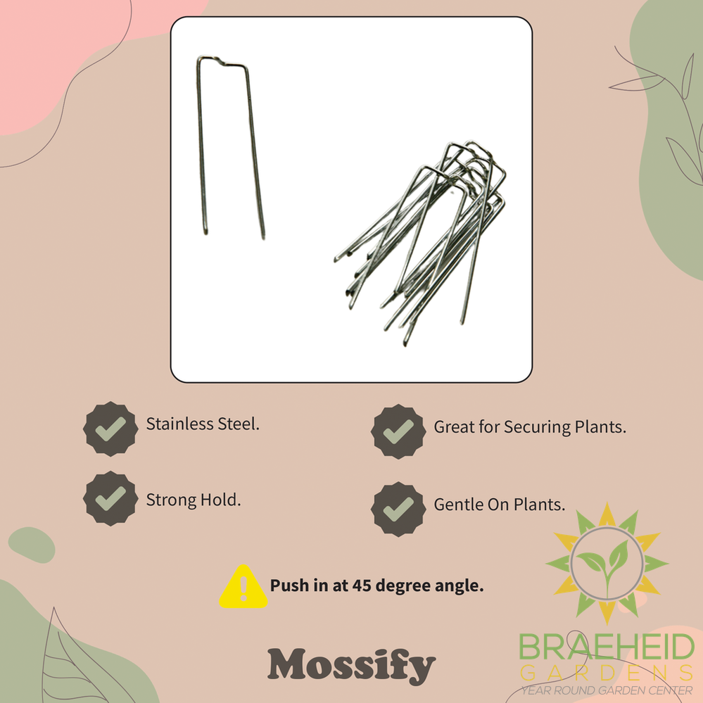 Floral Pins - Greening Pins - Moss Pole Pins