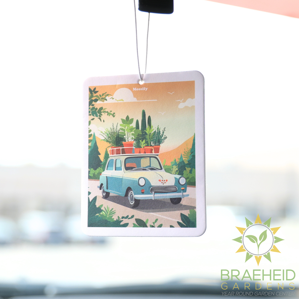 Mossify Air Fresheners