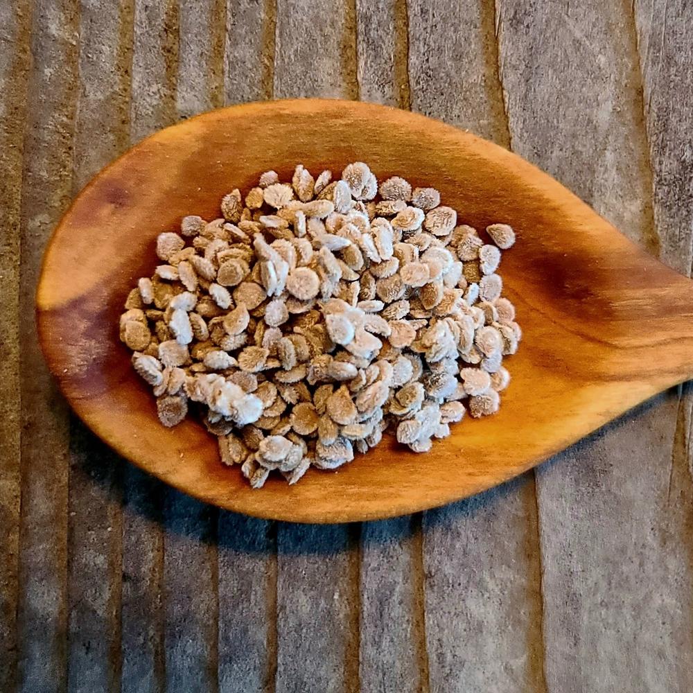 Principe Borghese Tomato