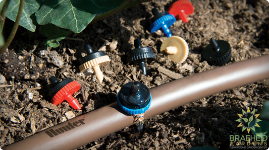 Hunter Point Source Drip Emitters