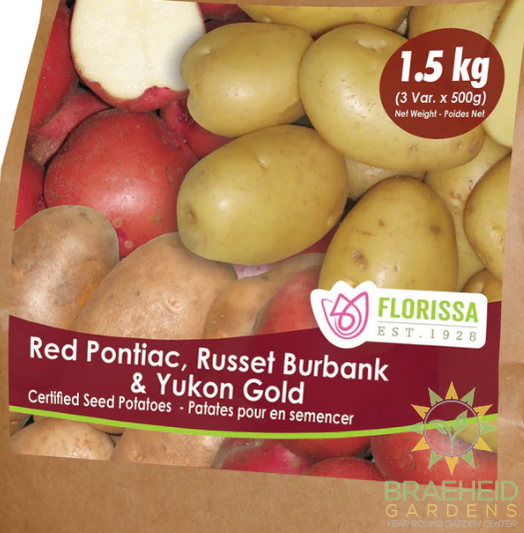 Combo Sack Potatoes 1.5kg