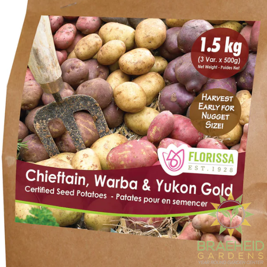 Nugget Combo Sack Potatoes 1.5kg