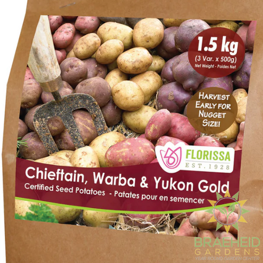 Nugget Combo Sack Potatoes 1.5kg