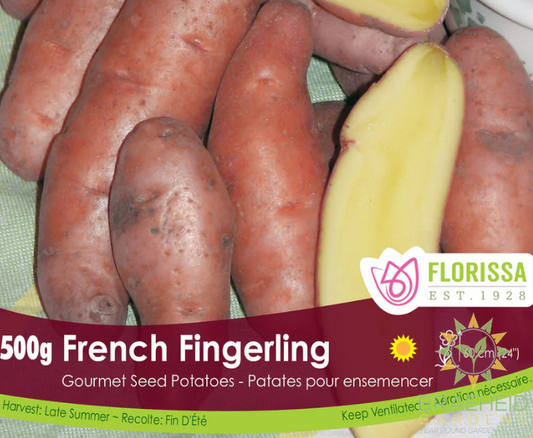 Gourmet French Fingerling Potatoes