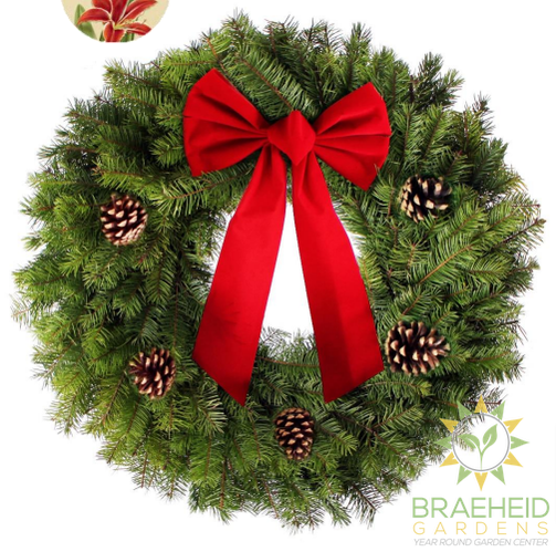 Douglas Fir Wreath & Bow