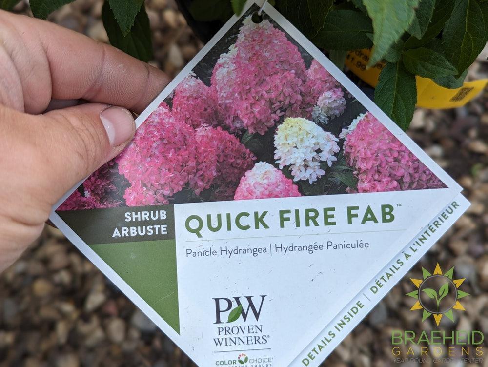 Quick Fire Fab® Hydrangea
