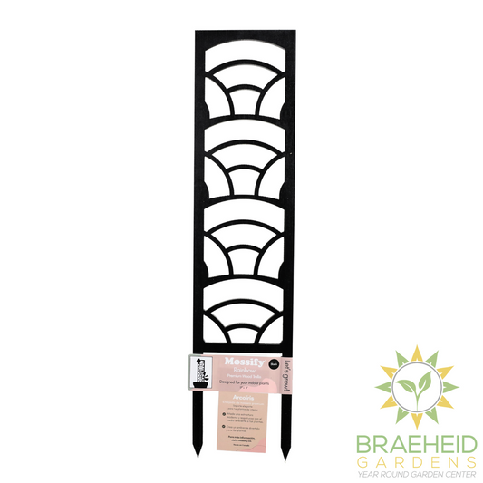 Rainbow Wooden Trellis