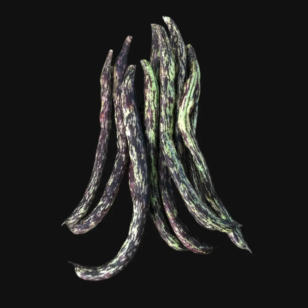 Rattlesnake Pole Bean